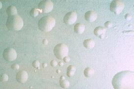 20151221003518_45974.jpg 20151221003518_45974.jpg